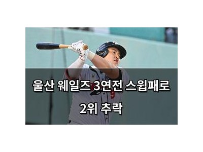 울산 웨일즈 3연전 스윕패로 2위 추락