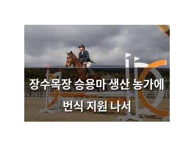 장수목장 승용마 생산 농가에 번식 지원 나서