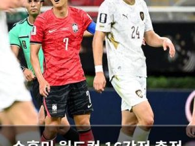 손흥민 월드컵 16강전 출전 포기 논란
