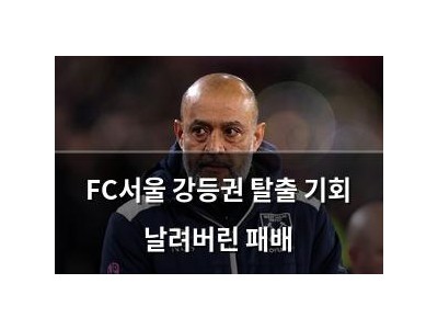 FC서울 강등권 탈출 기회 날려버린 패배