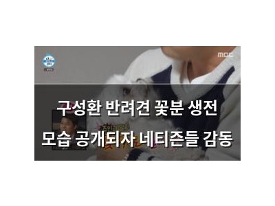 구성환 반려견 꽃분 생전 모습 공개되자 네티즌들 감동