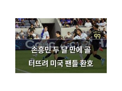 손흥민 두 달 만에 골 터뜨려 미국 팬들 환호