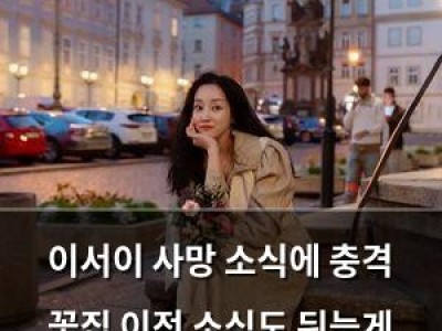 이서이 사망 소식에 충격 꽃집 이전 소식도 뒤늦게 드러나