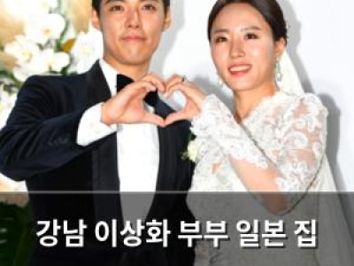 강남 이상화 부부 일본 집 공개에 네티즌 떠들썩