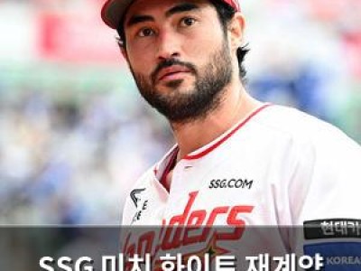 SSG 미치 화이트 재계약 고민에 빠짐