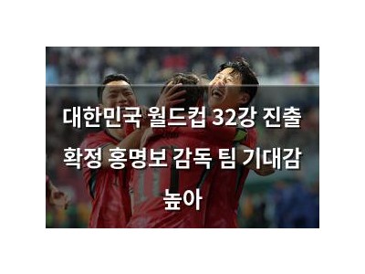 대한민국 월드컵 32강 진출 확정 홍명보 감독 팀 기대감 높아