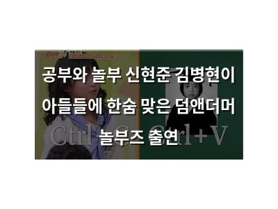 공부와 놀부 신현준 김병현이 아들들에 한숨 맞은 덤앤더머 놀부즈 출연