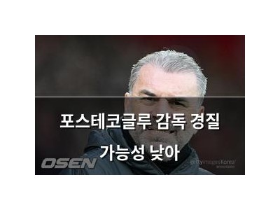 포스테코글루 감독 경질 가능성 낮아