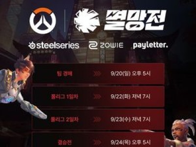 스트리머들까지 뛰는 오버워치 대회 충격